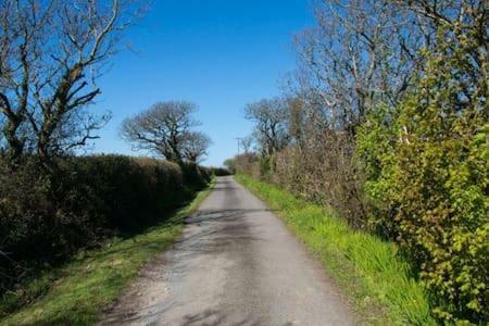 Hallagather Farmhouse Crackington Haven エクステリア 写真